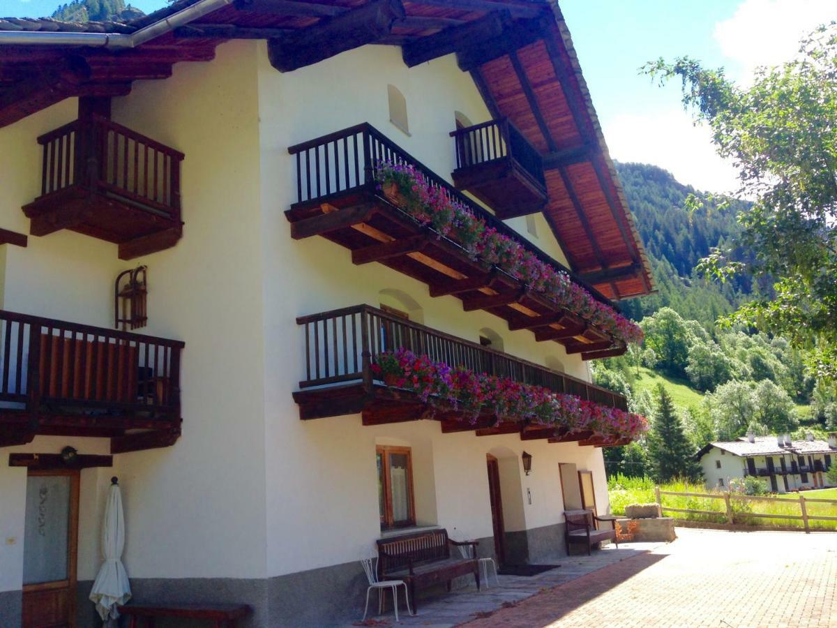 Flora Alpina Apartments-Residenza Verdebjo Грессоне-Сен-Жан Экстерьер фото