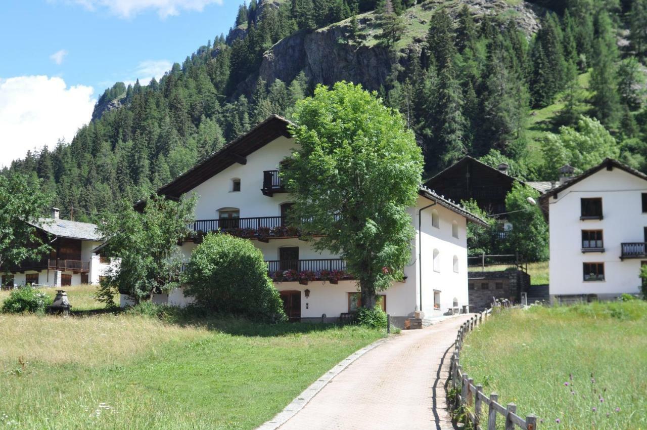 Flora Alpina Apartments-Residenza Verdebjo Грессоне-Сен-Жан Экстерьер фото