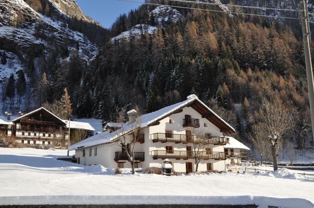Flora Alpina Apartments-Residenza Verdebjo Грессоне-Сен-Жан Экстерьер фото